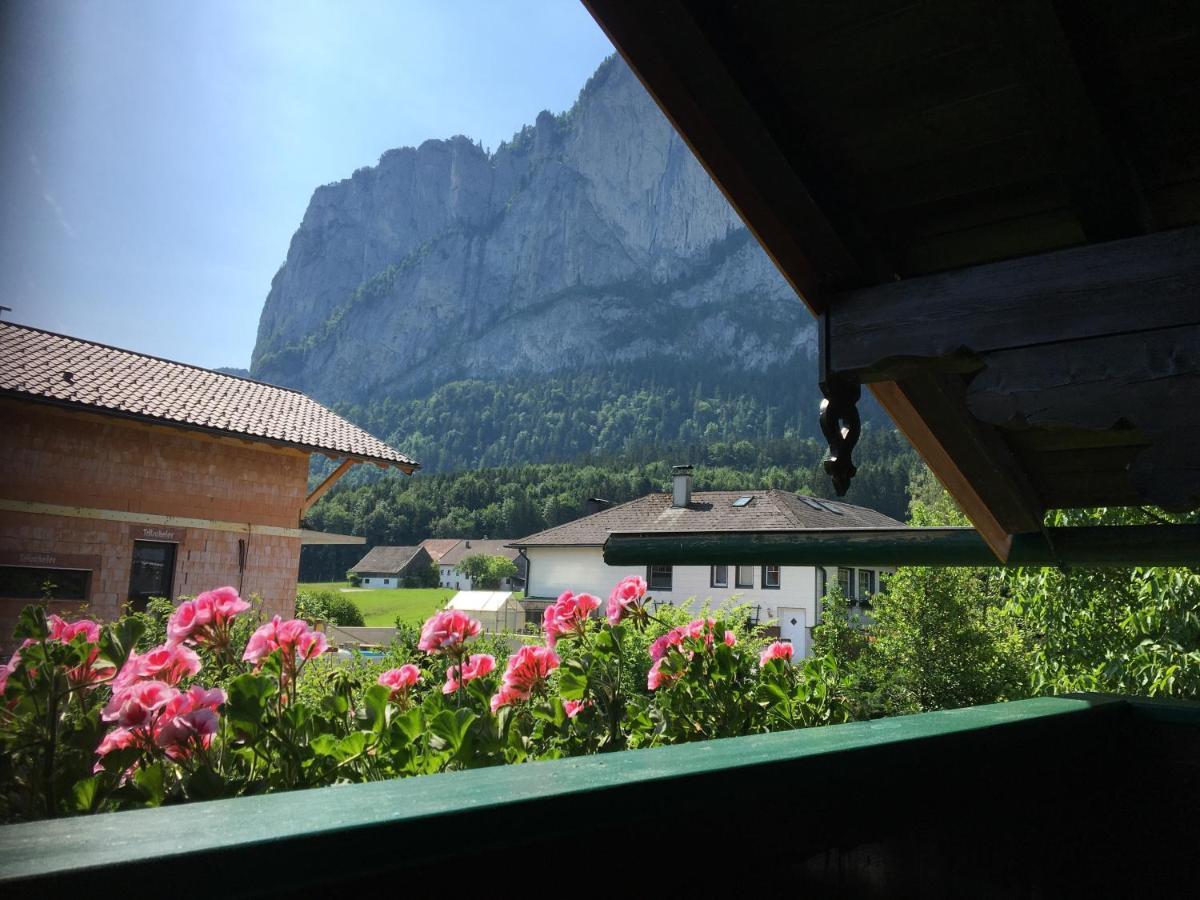 Ferienwohnung Meindl Elfi An Der Drachenwand 44 Mondsee Exterior photo